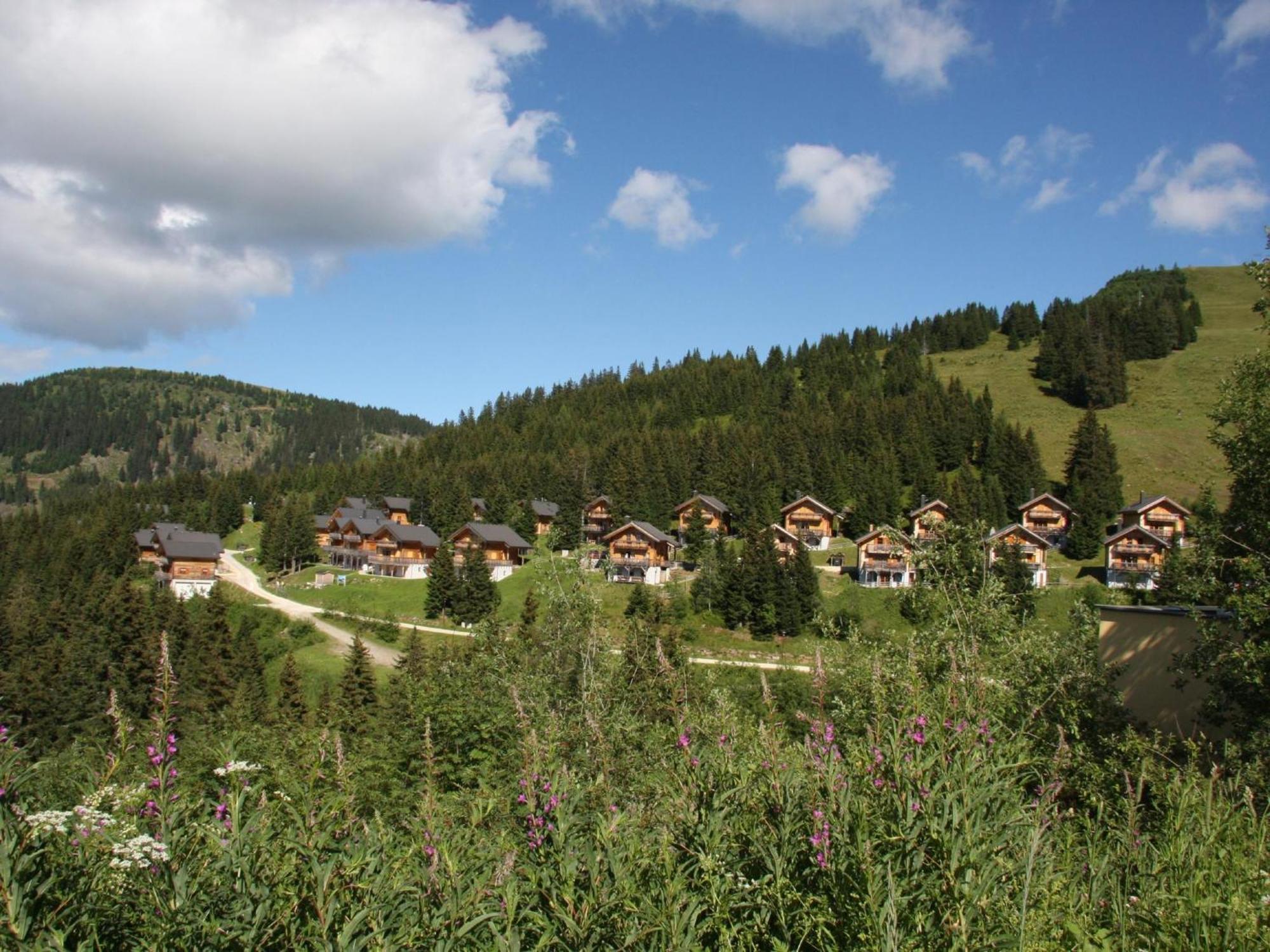 Chalet Bergoase Villa Elsenbrunn Buitenkant foto